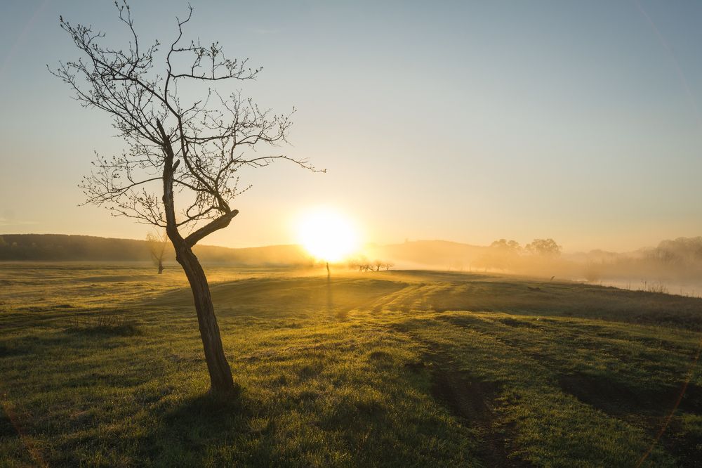 Золотые дали