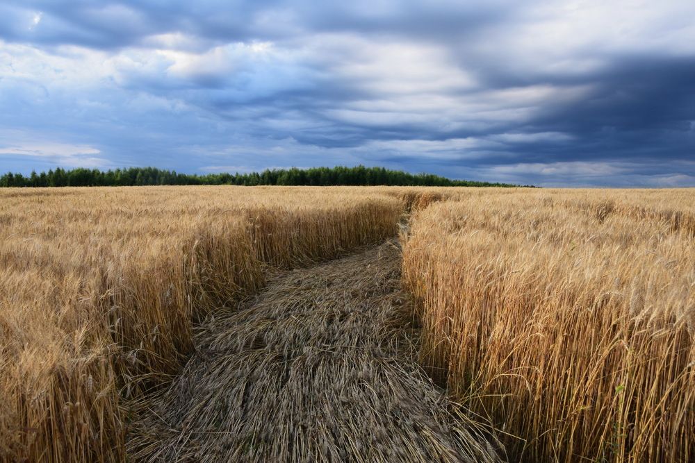 Photograph by Galina Leskova