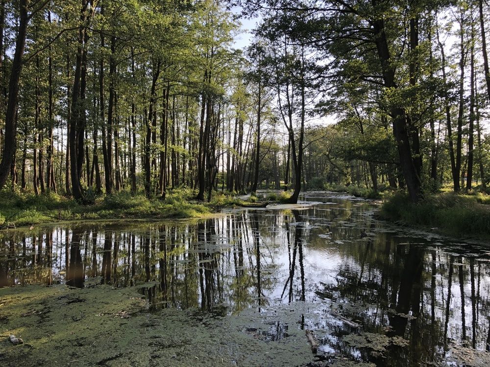 Photograph by DZMITRY