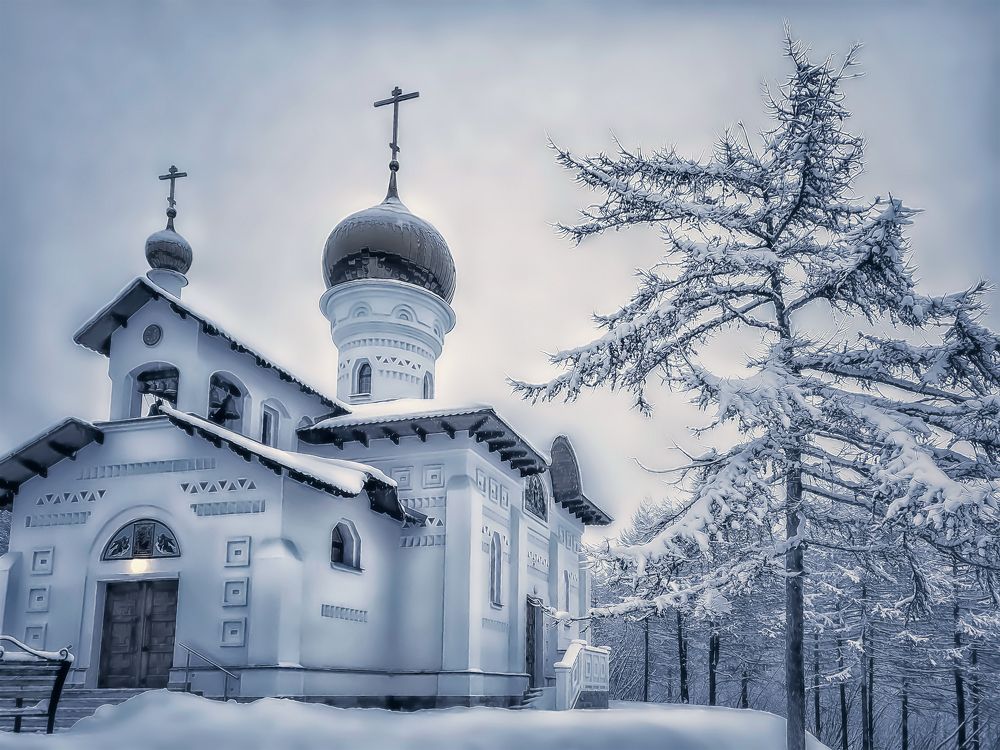 Photograph by Tatyana Romanova