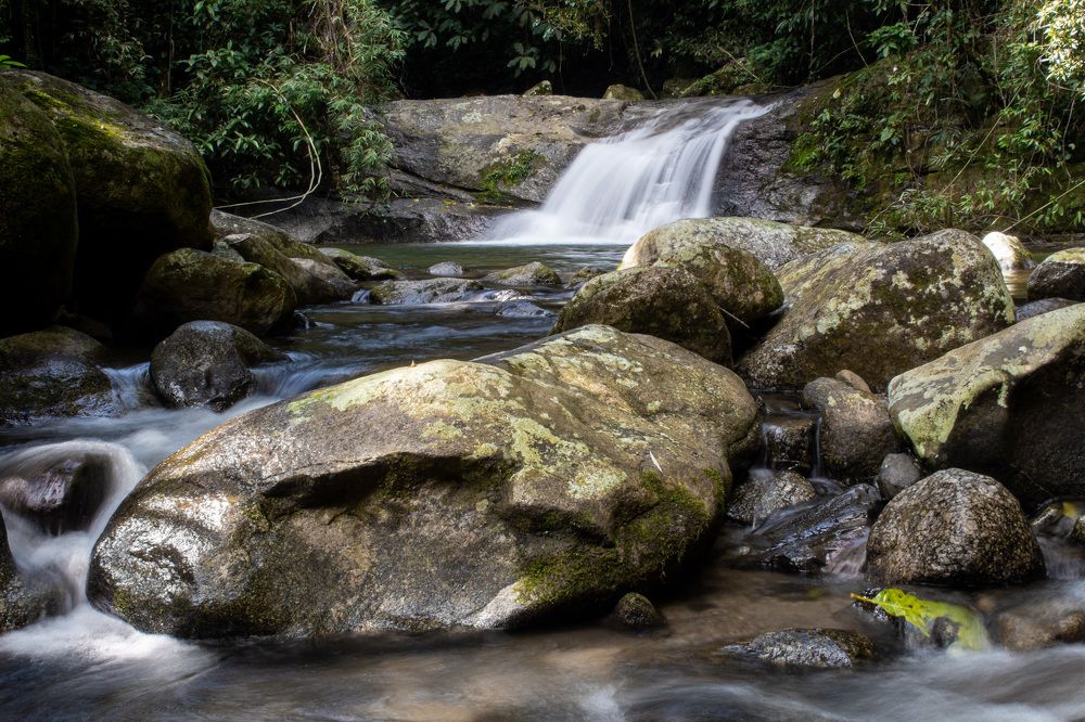 Photograph by Leonardo Carraro