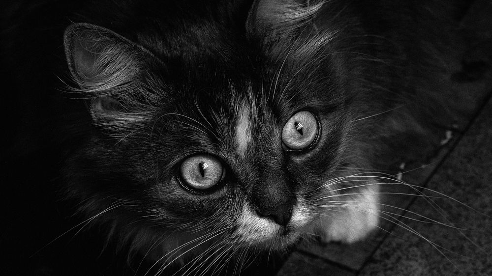 Photograph by Володя Сляднев