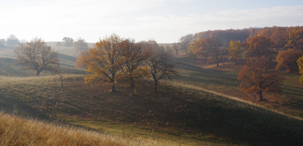 Photograph by Рашит Чумарин