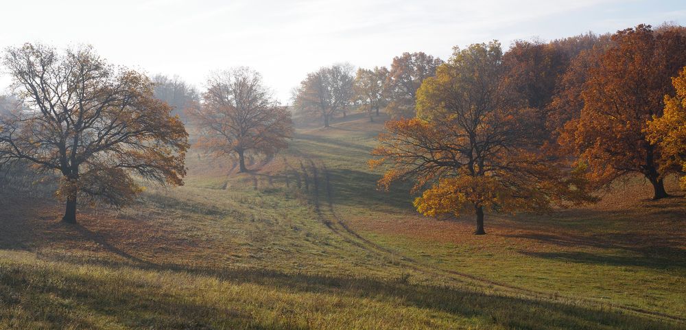 Photograph by Рашит Чумарин