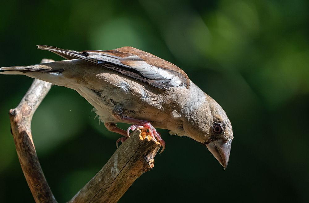 Photograph by Viktor Makarov