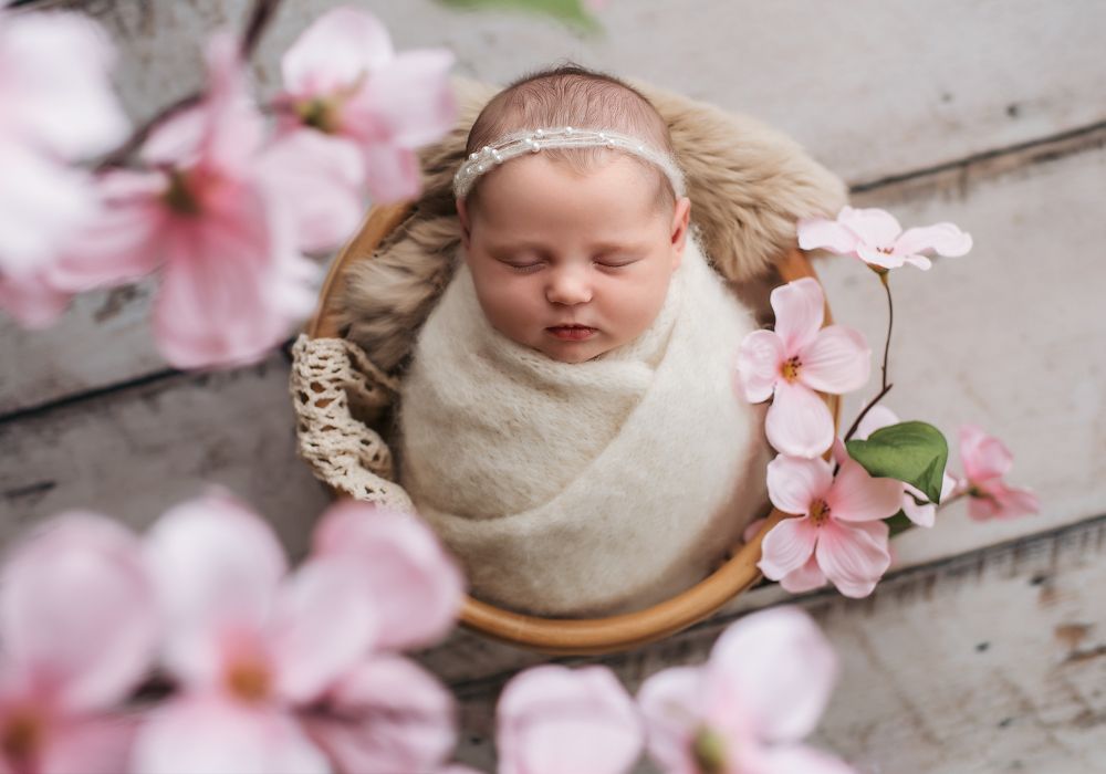 Photograph by Tatiana Kahl