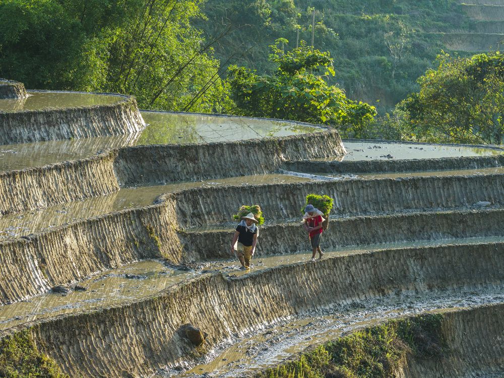 piggybacking on the back