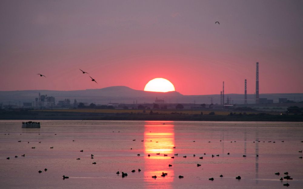 Photograph by Валерия Маркова