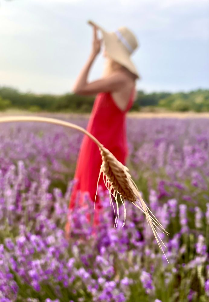 Photograph by Bayborodova Darya