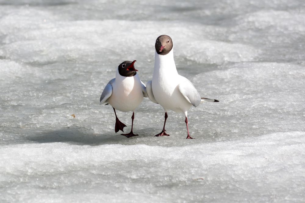 Я тебе еще не все сказала!