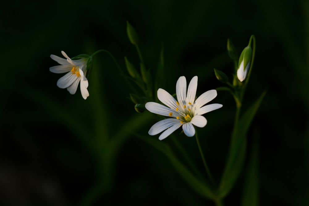 Photograph by Юрий Кузьменок