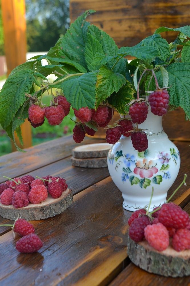 Фотография автора Марина Гусева