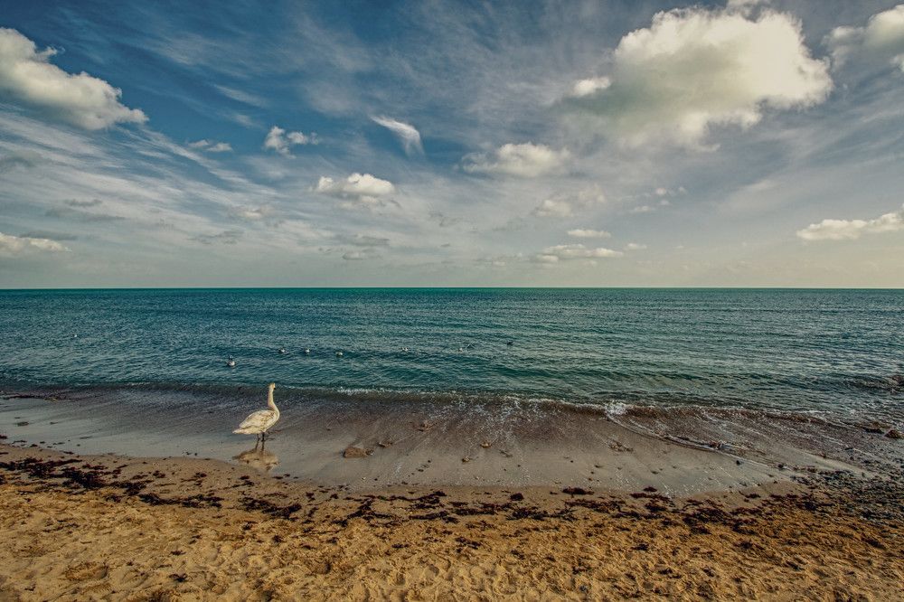 Photograph by Владимир Гамаюнов