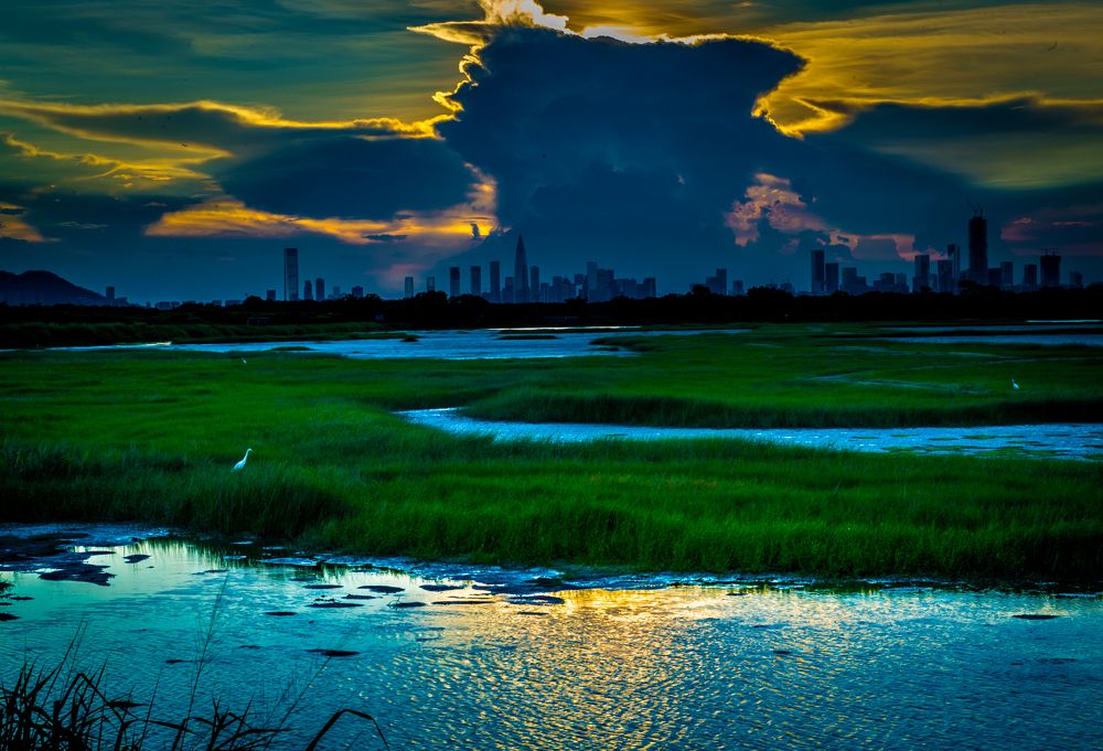 Фотография автора Maurice Leung