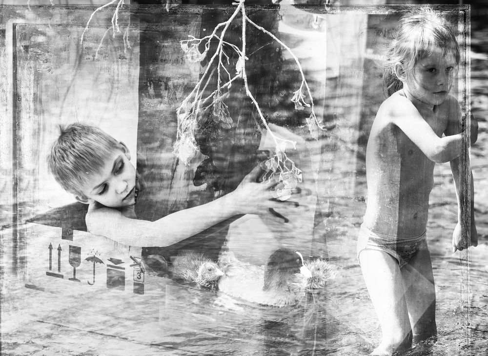 Photograph by Михаил Ласаков