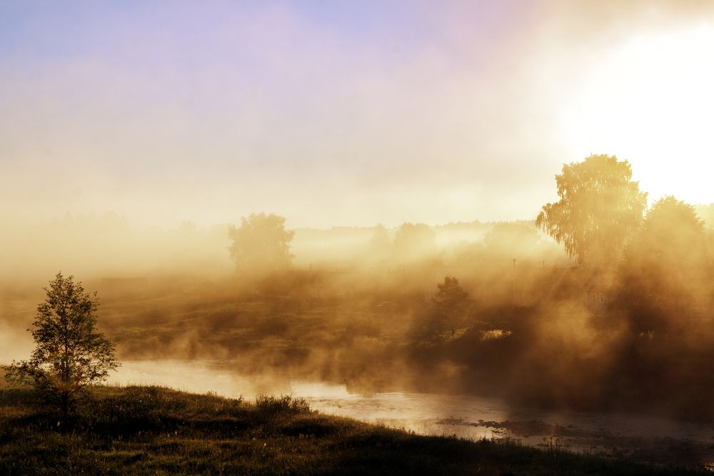 Photograph by Грязев Сергей