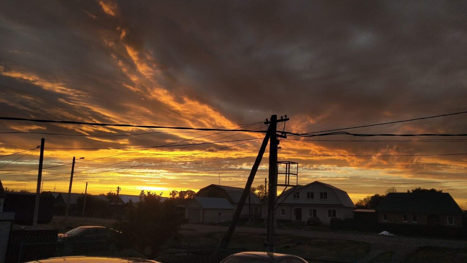 Photo #6335266