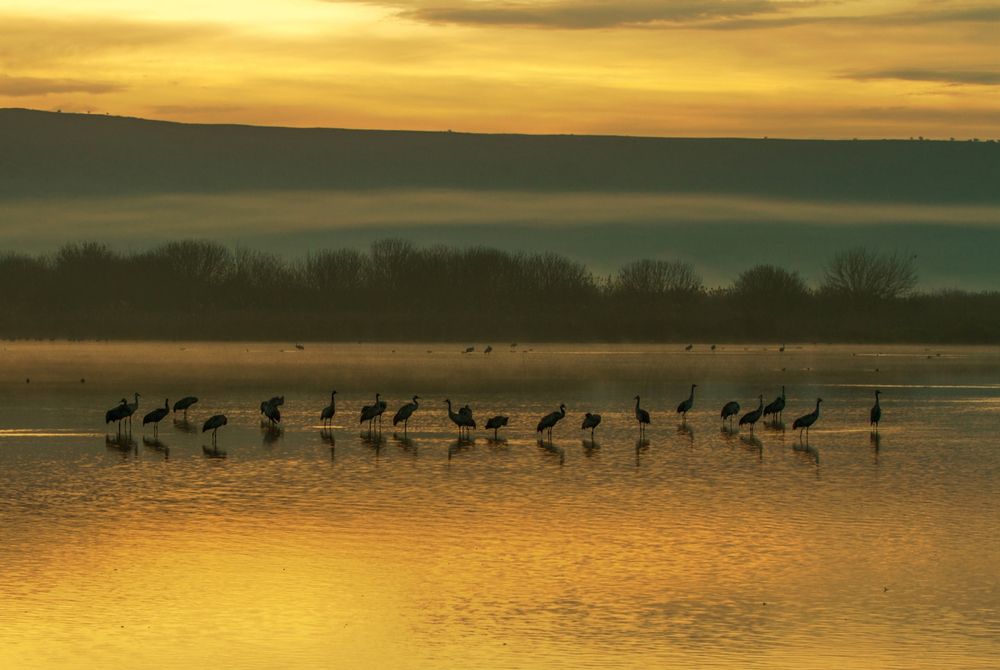 "Золотой" восход