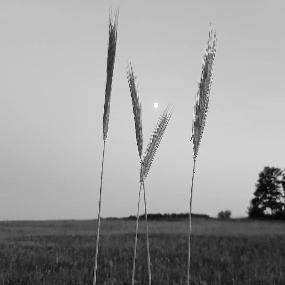 Photograph by Татьяна Чершнева