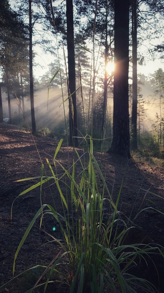 Photograph by Рада Панова