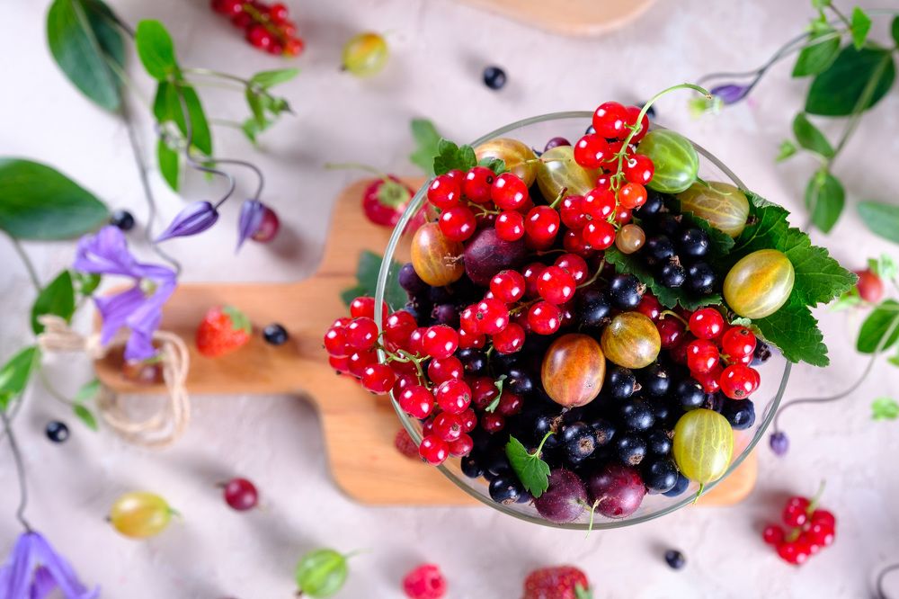 Фотография автора Лидия Филатова