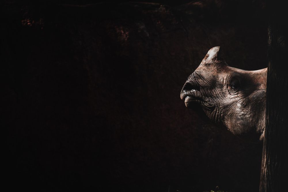 Photograph by Abhishek Sriramula
