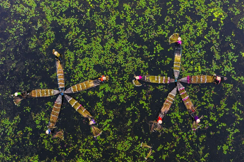 Photograph by Nguyen sanh quoc huy