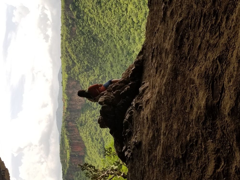 Photo #6335791