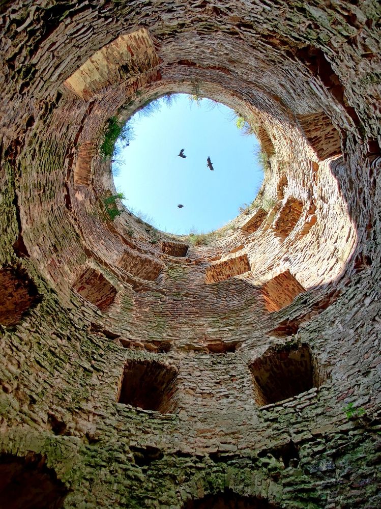 Изборская крепость