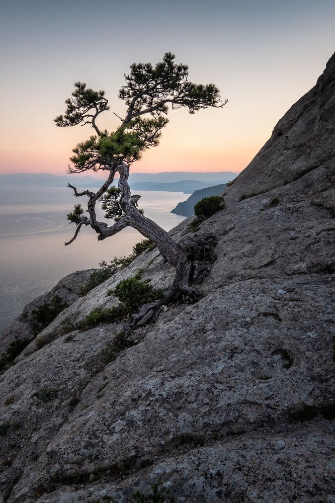 Photograph by Вадим Коротеев