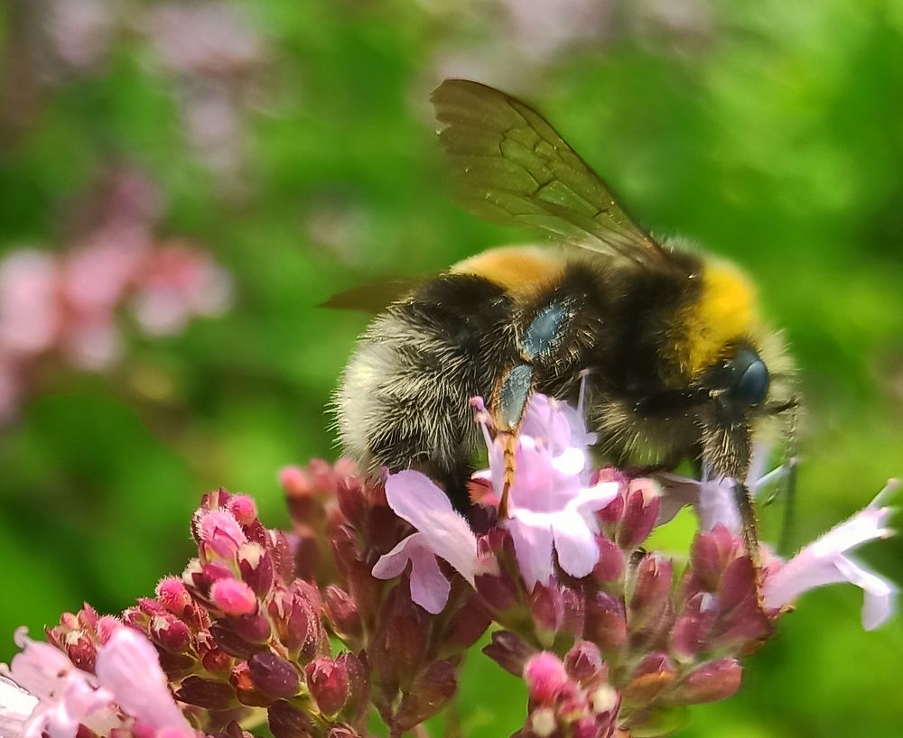Photograph by Борис Каширин