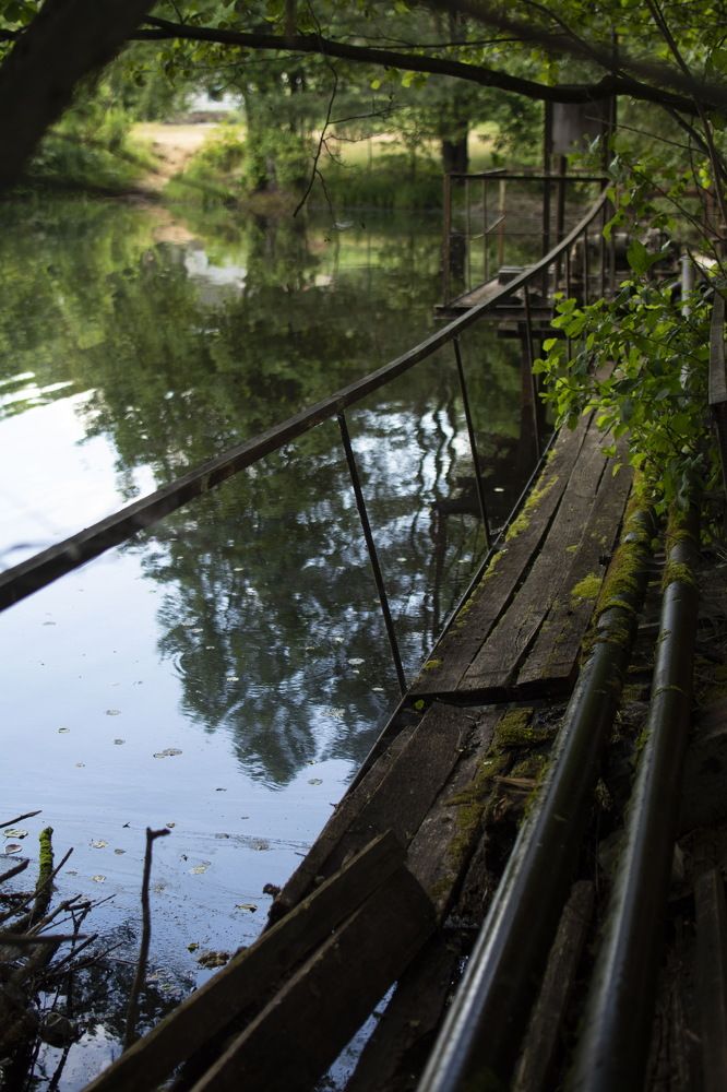 Photograph by Мария Мальцева