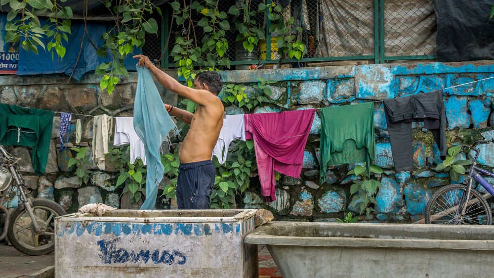 Фотография автора savitri Rawat