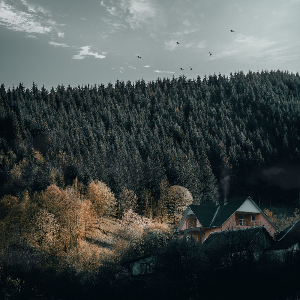 Photograph by Balog Francisc Sebastian