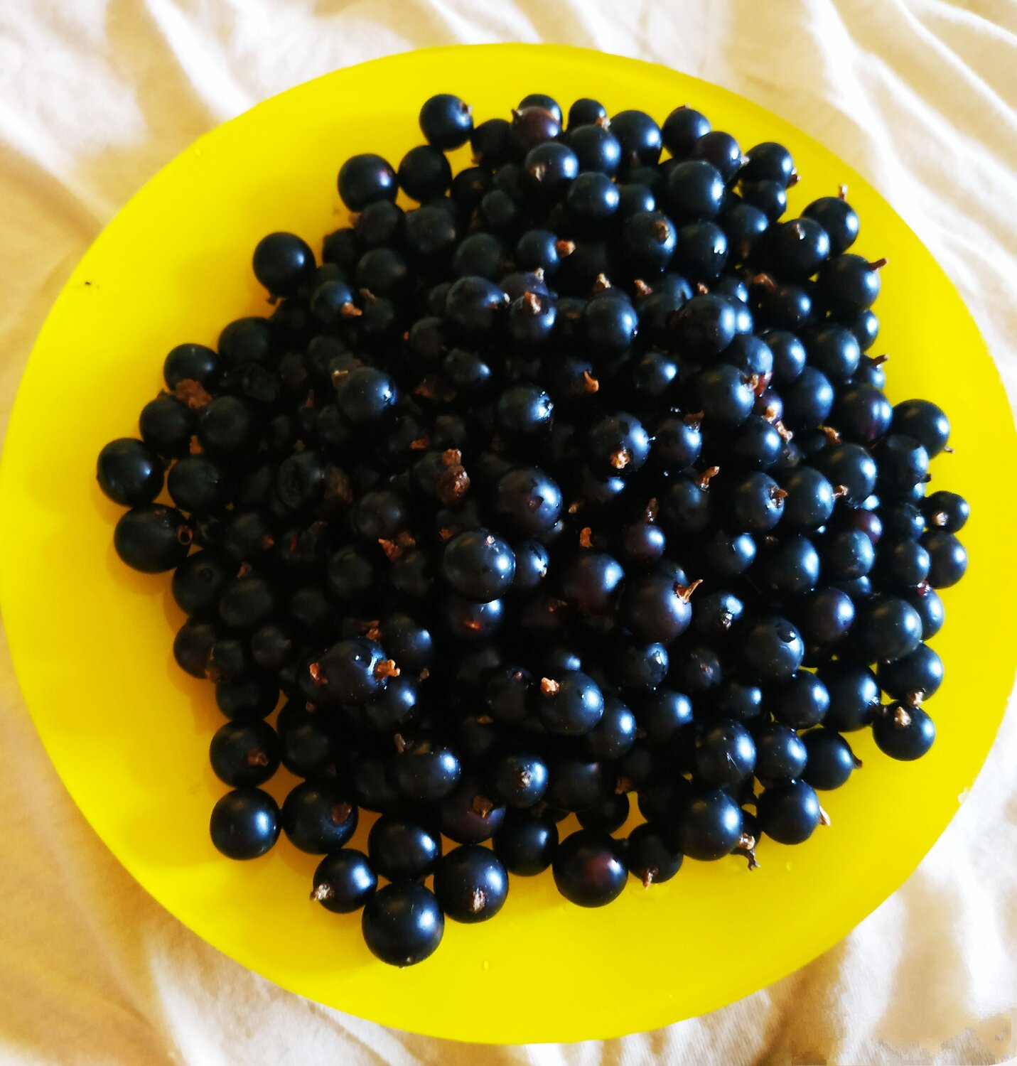 Photo #6336184