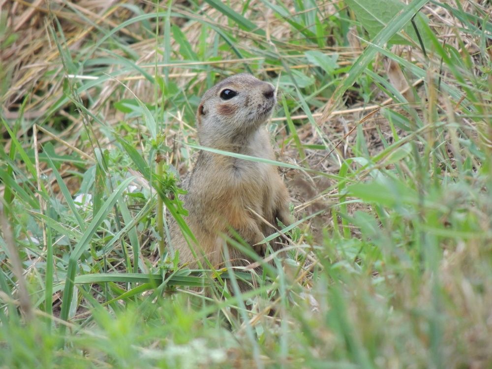Photograph by Ольга Харламова