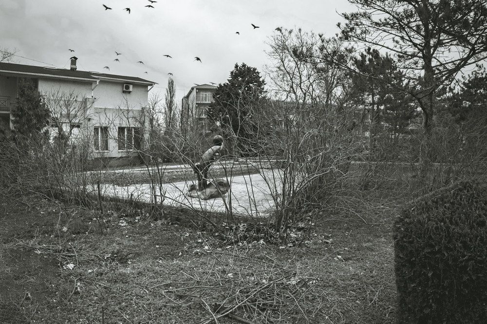 Photograph by Владимир Гамаюнов