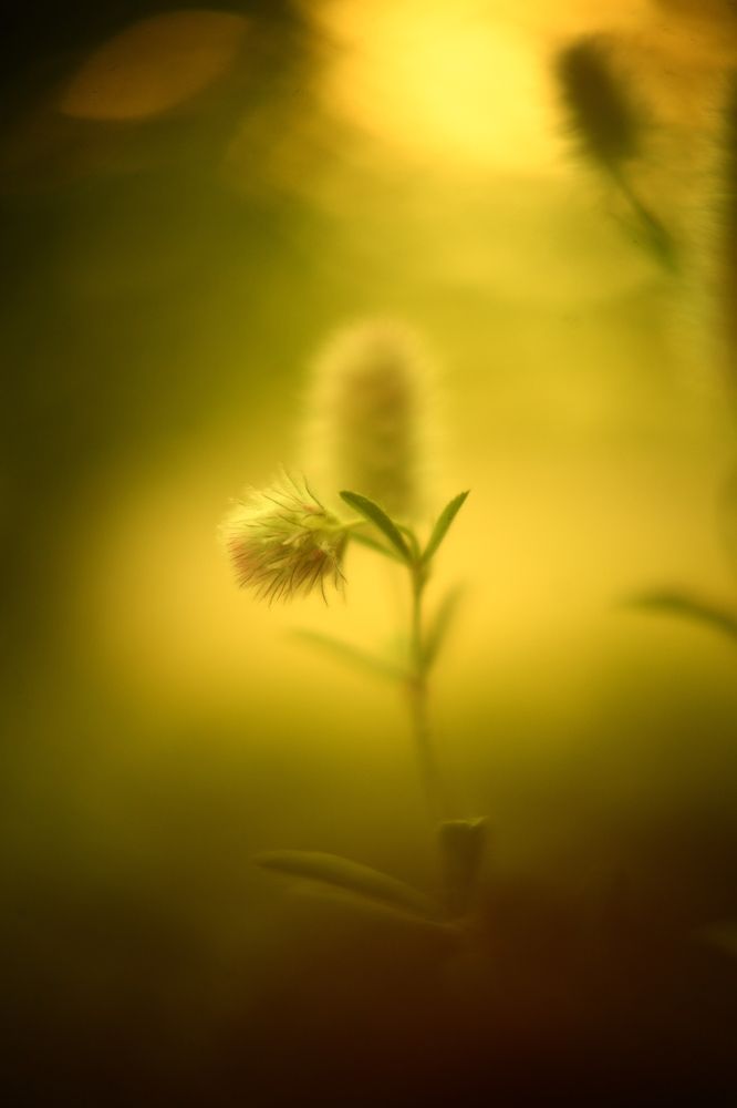 Photograph by Milla Luca