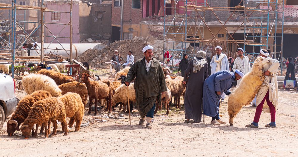 Photograph by nagla sobhy