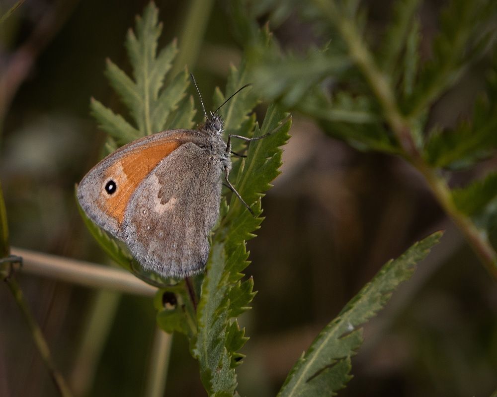 Photograph by Евгений Михеев