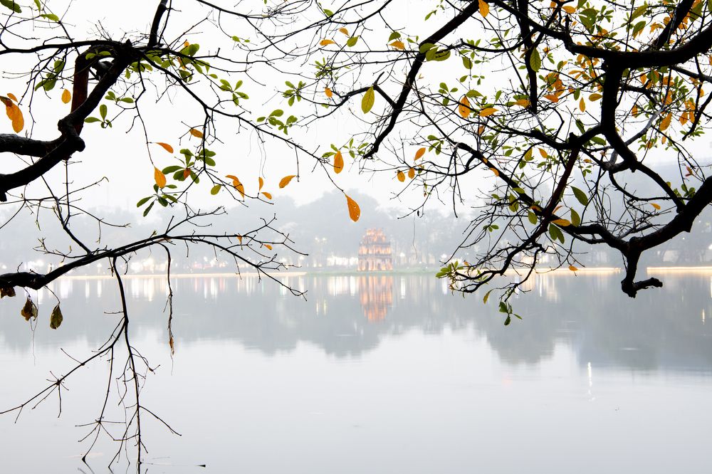 Photograph by Hạnh Phạm