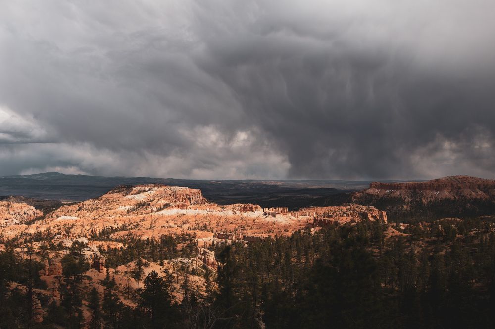 Photograph by Анна Дубровская