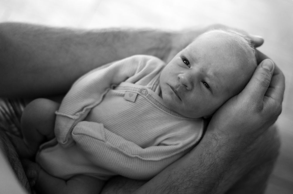 Фотография автора Дарья Воронина