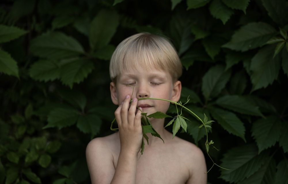 Photograph by Анастасия Барышева