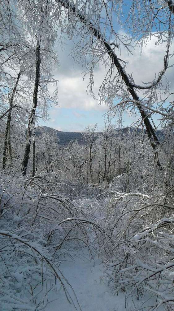 Photograph by Юлия Лихачева