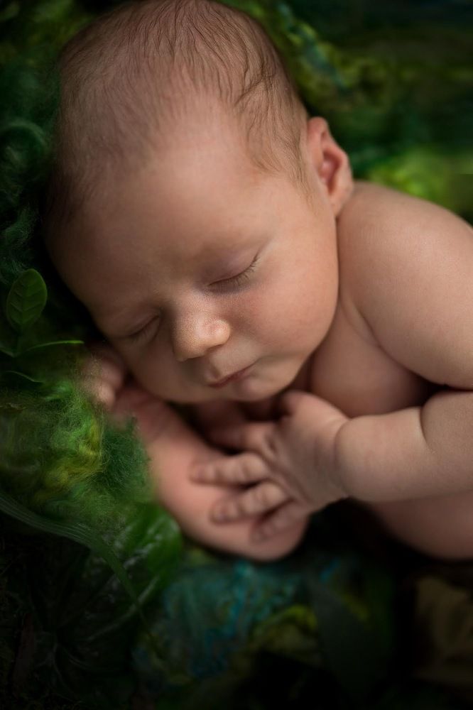 Photograph by Elena Hasnas