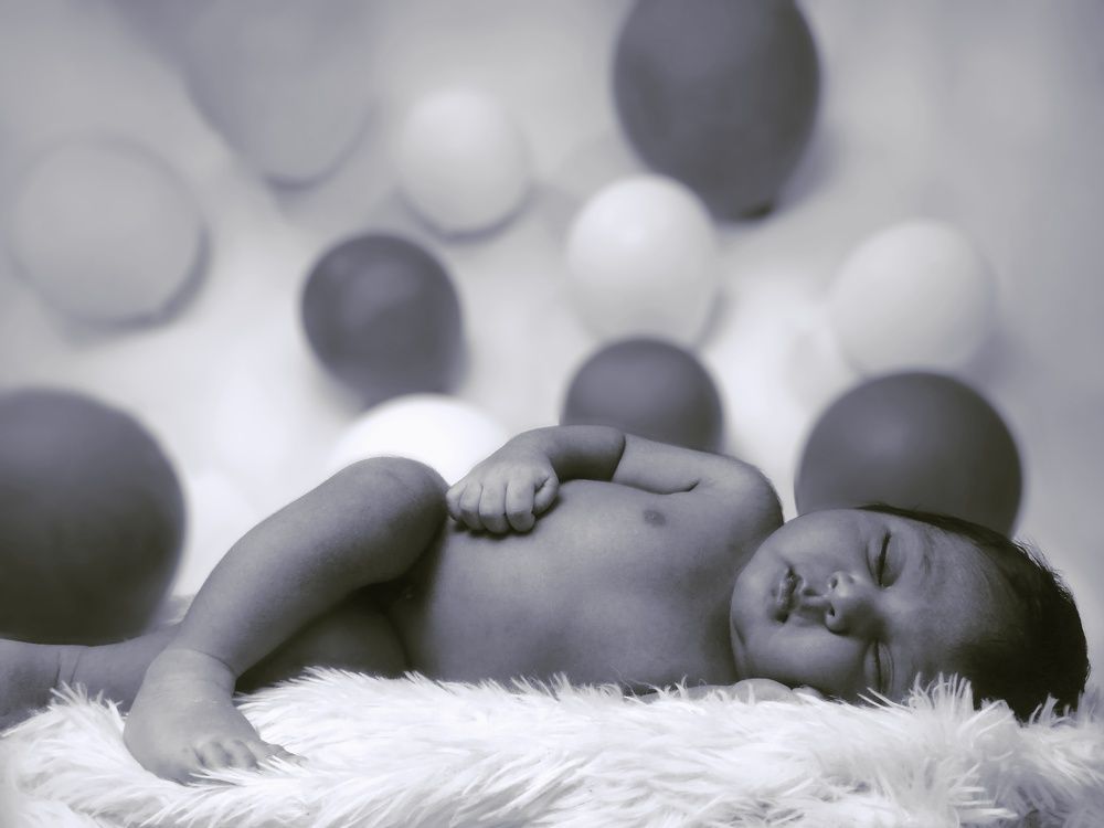 Photo #6336758