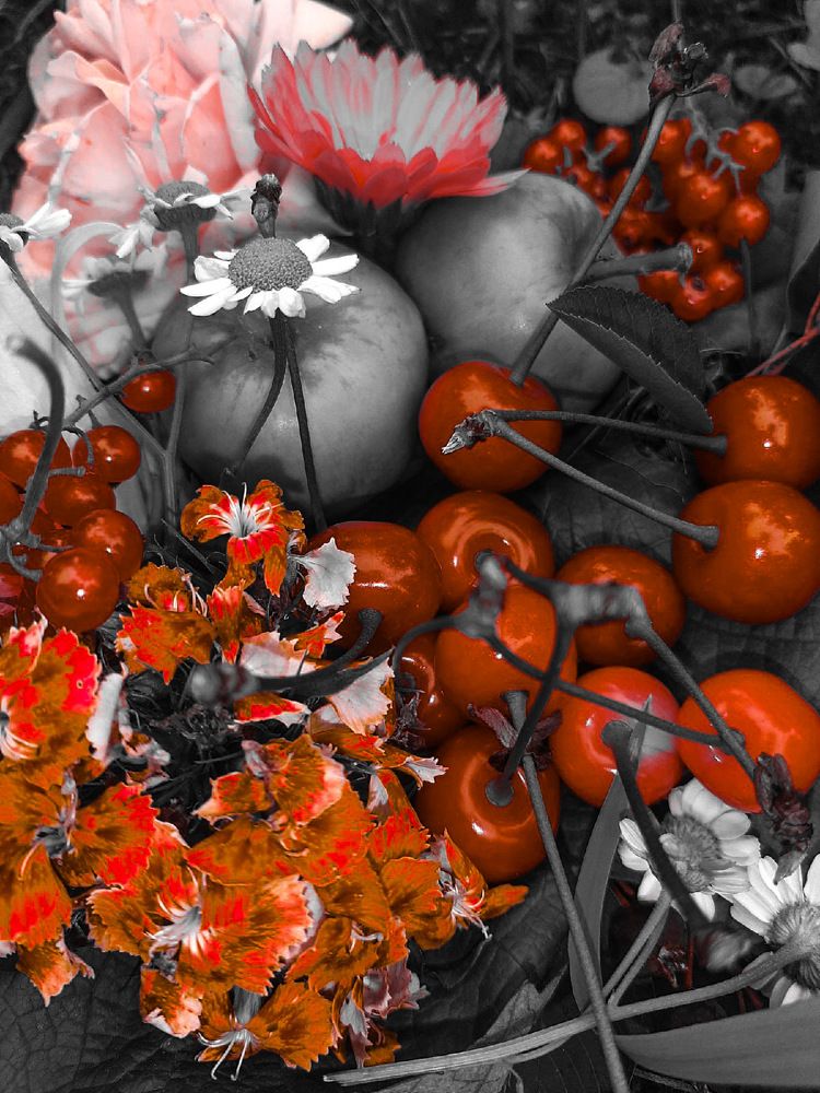 Photograph by Iljana Luksa