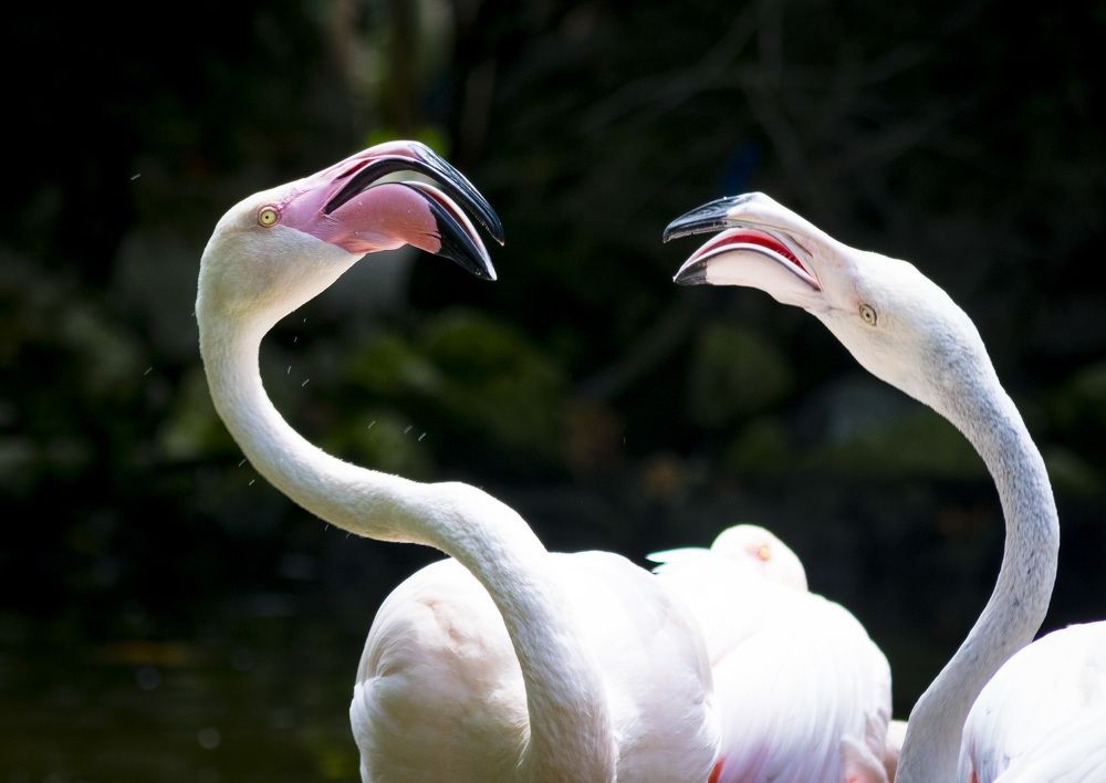 Photograph by Evren Ersoy