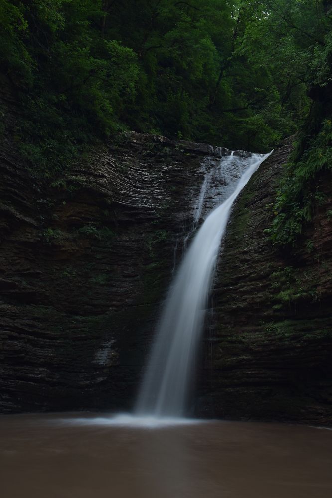 Девичья коса